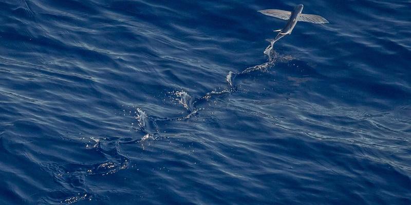 山东瑞祥建设19：深耕装饰装修与建筑施工，铸就齐鲁建筑行业品质标杆