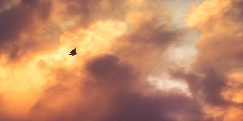 山东瑞祥建设39：深耕建筑施工与装饰装修领域的卓越实践者