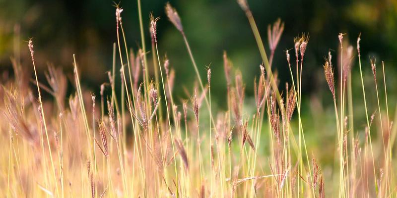 山东瑞祥建设63：深耕工程承包领域，铸就齐鲁建筑工程标杆