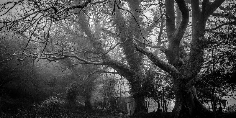 山东瑞祥建设：以专业建筑施工与匠心室内设计，构筑品质空间新标杆