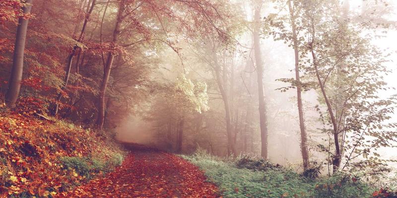 山东瑞祥建设：以匠心融合室内设计与工程承包，打造卓越空间解决方案