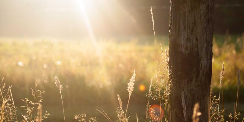 山东瑞祥建设：装饰装修、建筑施工与室内设计的一体化解决方案