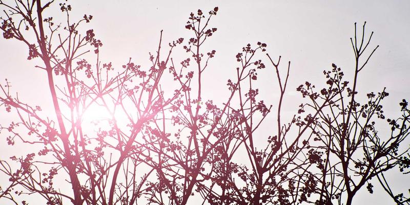 山东瑞祥建设：医疗实验室洁净与通风系统的专业施工实践