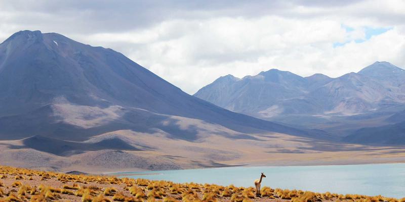 山东瑞祥建设：智慧工地建设如何重塑装饰装修与建筑工程的安全与效率新标杆