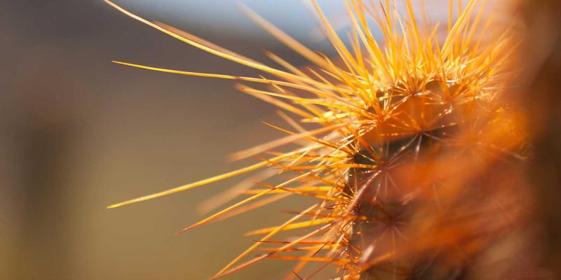 智慧工地新标杆：山东瑞祥建设工程承包如何融合物联网与大数据技术